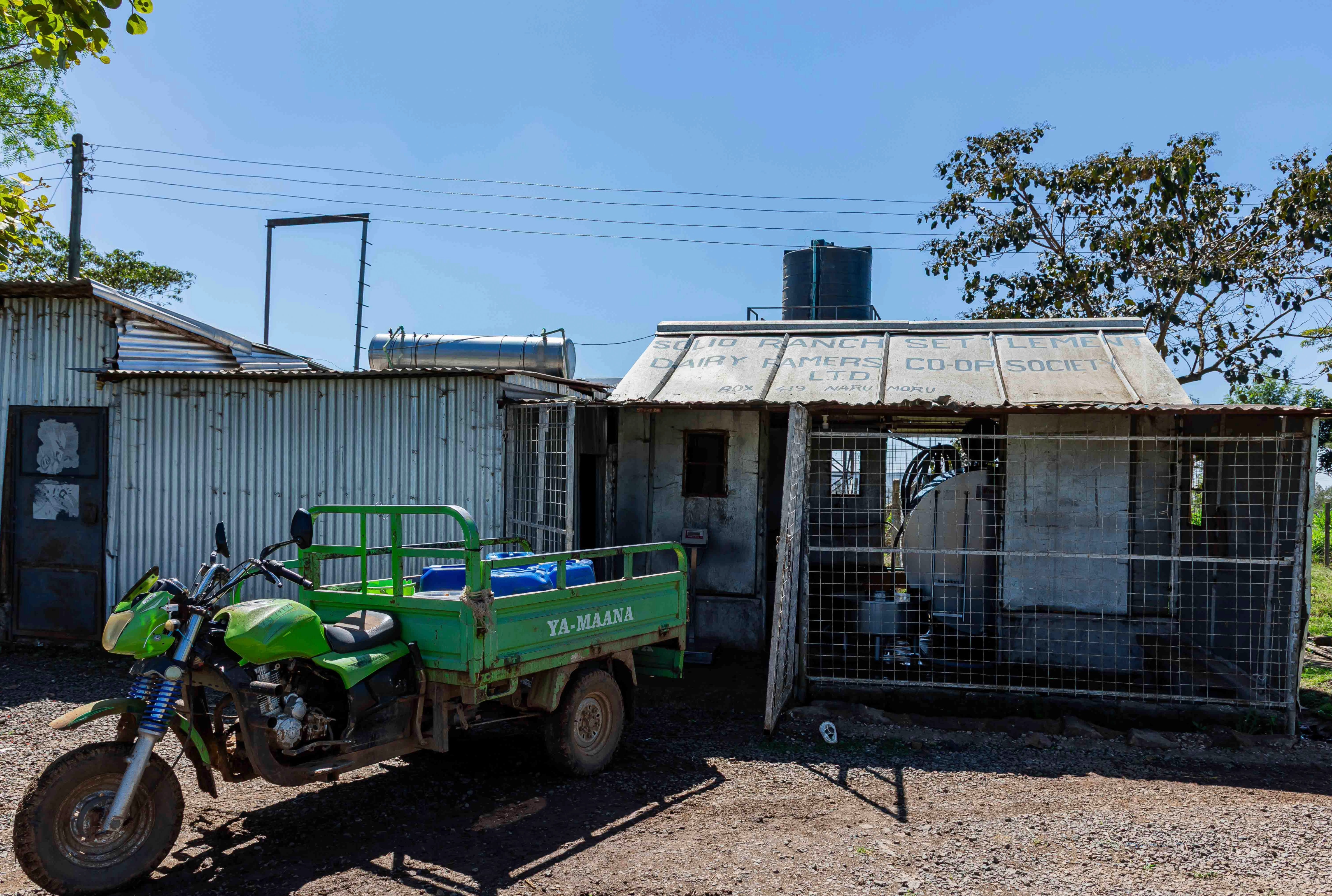 Demonstration Farm - Solio Dairy Cooperative, Laikipia County