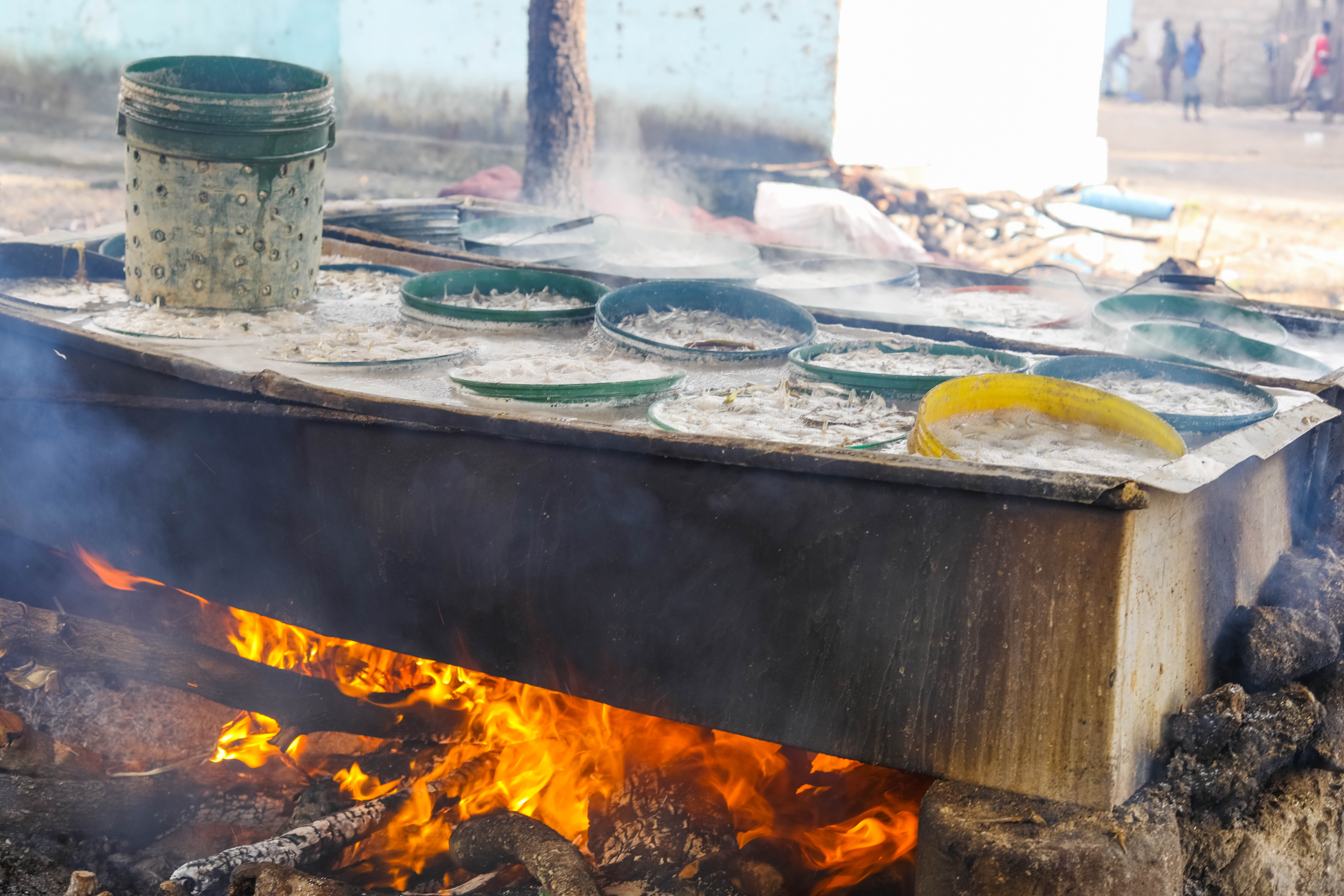 CURRENT DAGAA PROCESING IN MAFIA ISLAND