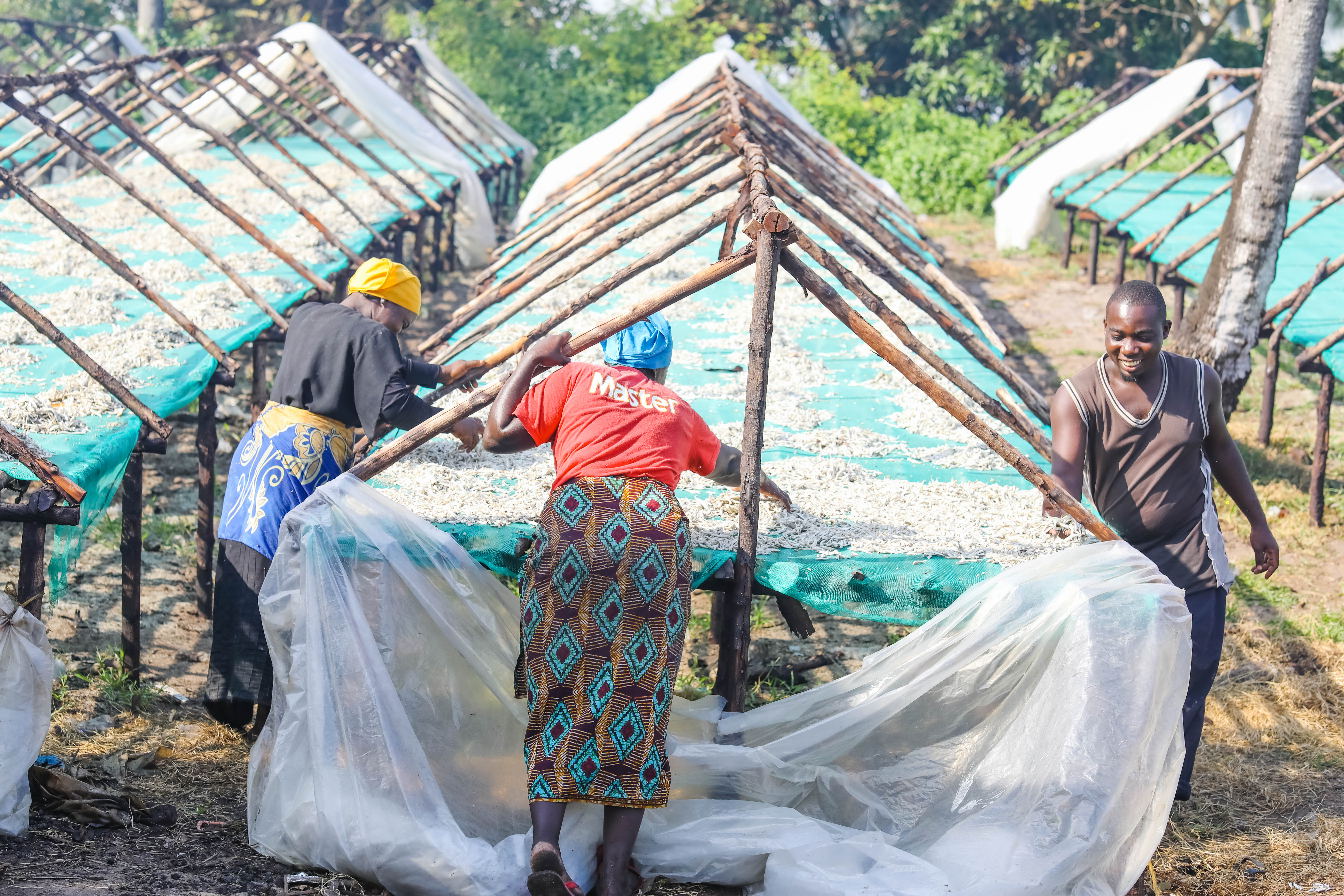 CURRENT DRYING PROCESS IN MAFIA ISLAND