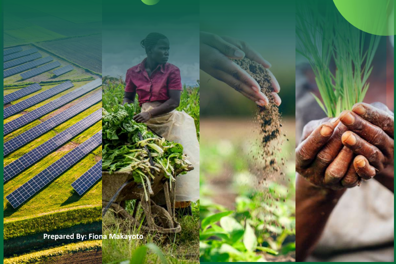 Advancing Agrisolar Adoption in East Africa